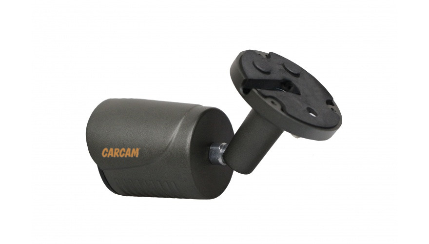 Купить Муляж CARCAM CAM-802