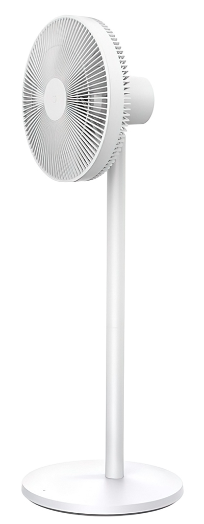 Купить Xiaomi Mijia E (BPLDS04DM)