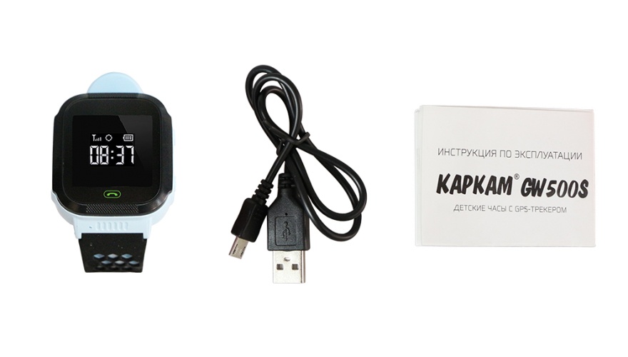 Купить CARCAM GW500S (голубые)
