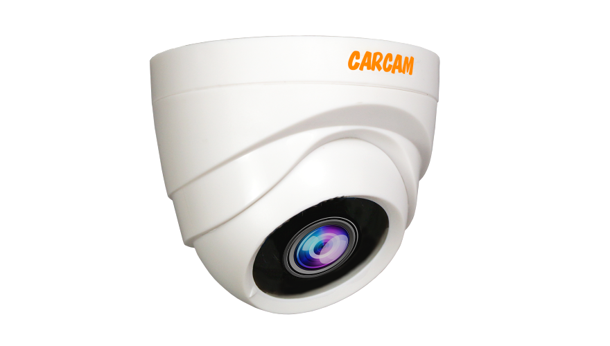 Купить Муляж CARCAM CAM-725