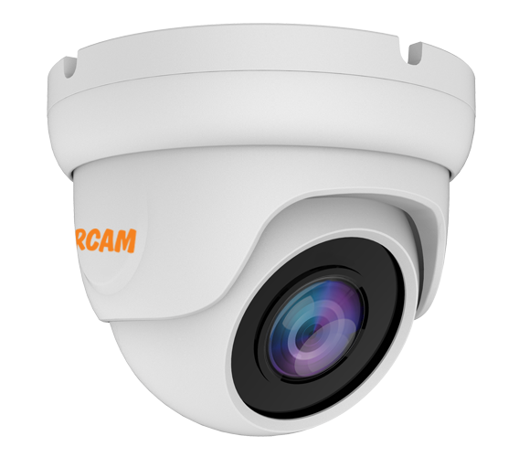Купить Муляж CARCAM CAM-2888P