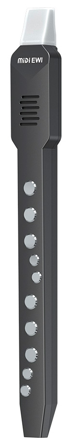 Купить Xiaomi Electronic Wind Instrument DC02Pro