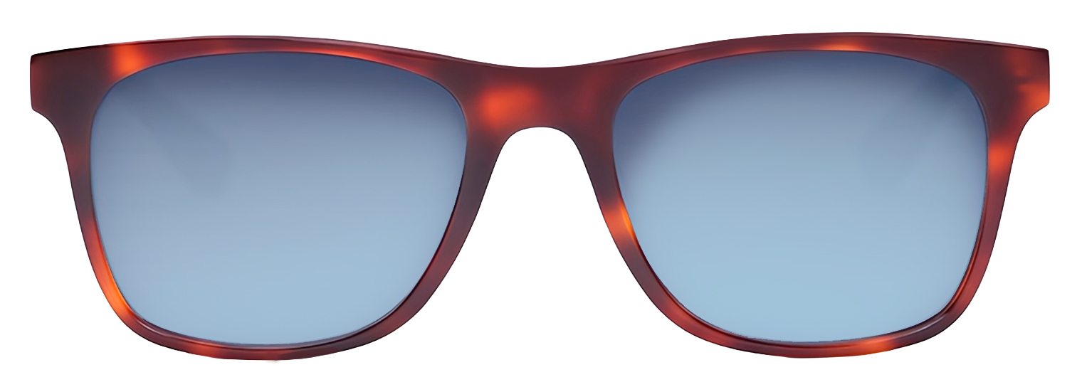 Купить Xiaomi Turok Steinhardt Traveler Sunglasses (SR004-1320) Tortoiseshell