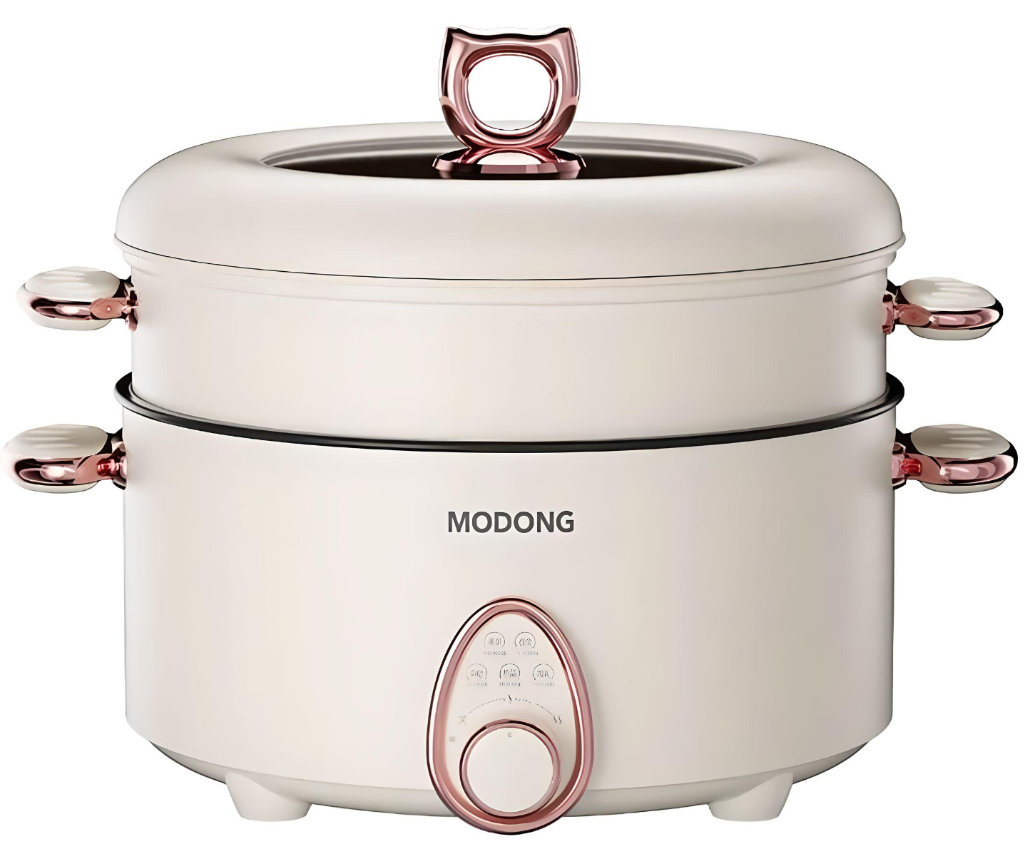 Купить Xiaomi Qcooker Hot Pot Multifunctional (CR-DHG3001) 