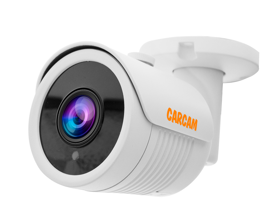 Купить Муляж CARCAM CAM-592
