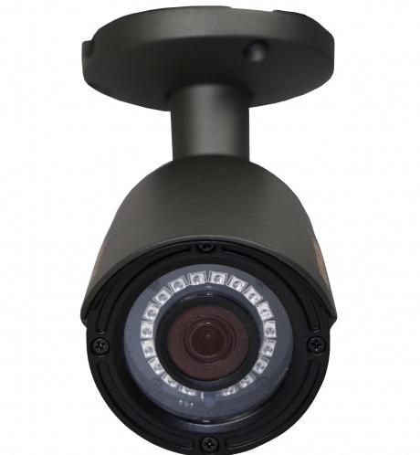 Купить Муляж CARCAM CAM-802