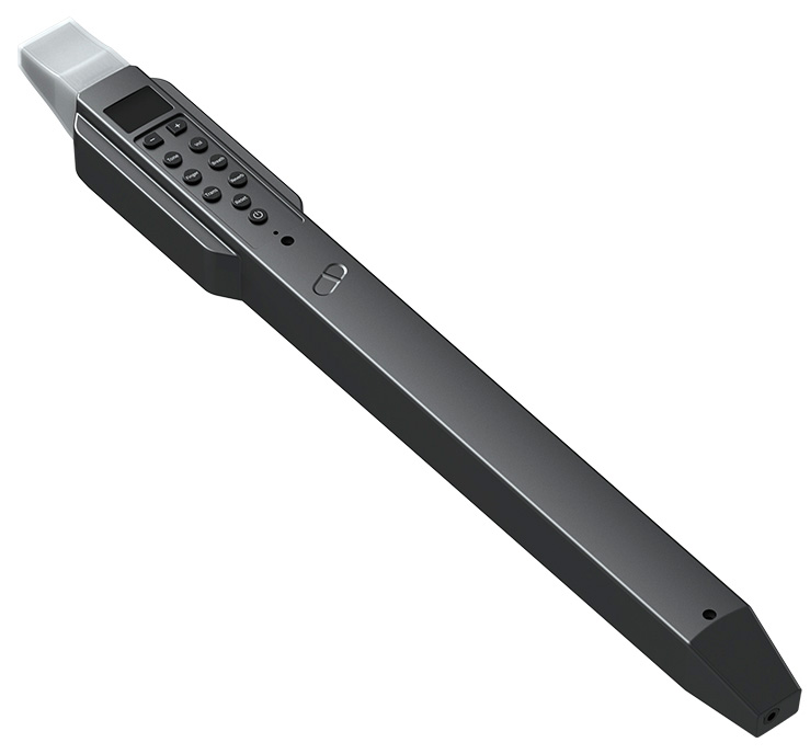 Купить Xiaomi Electronic Wind Instrument DC02