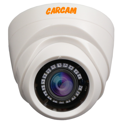 Купить Муляж CARCAM CAM-1888P