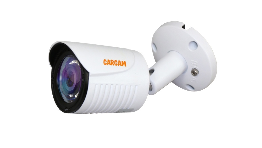 Купить Муляж CARCAM CAM-1891P