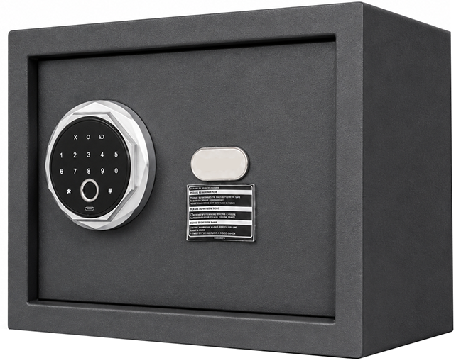 Купить CARCAM Smart Fingerprint Safe Box (CC25FEC) Black