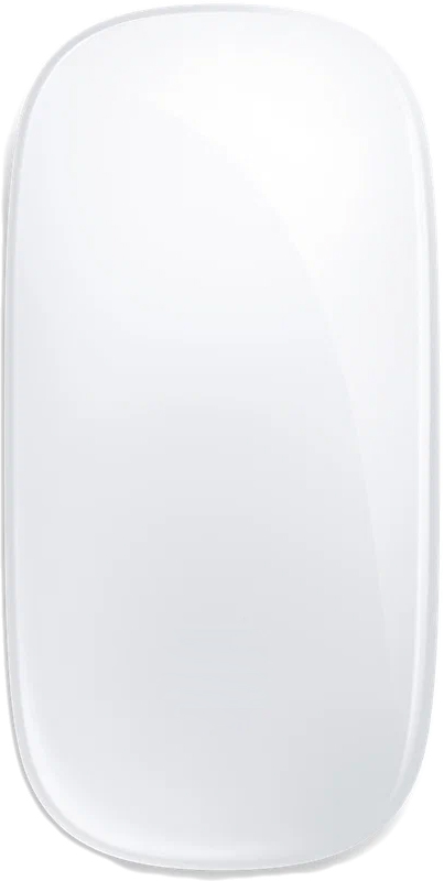 Купить Magic Mouse