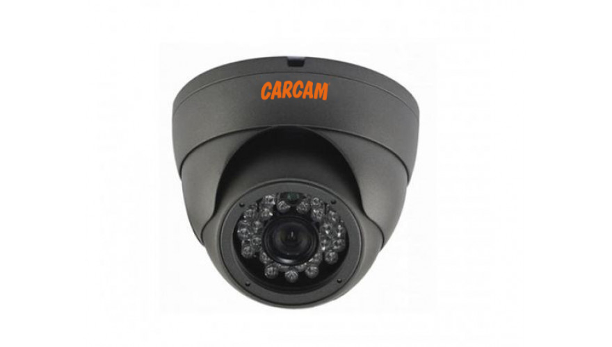 Купить Муляж CARCAM CAM-825