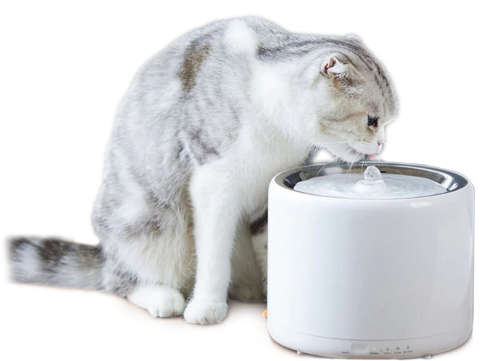 Купить Xiaomi Smart Water Dispenser Eversweet 3 (P4102)