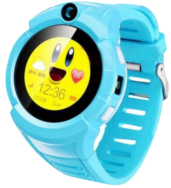 Купить CARCAM GW600 Blue