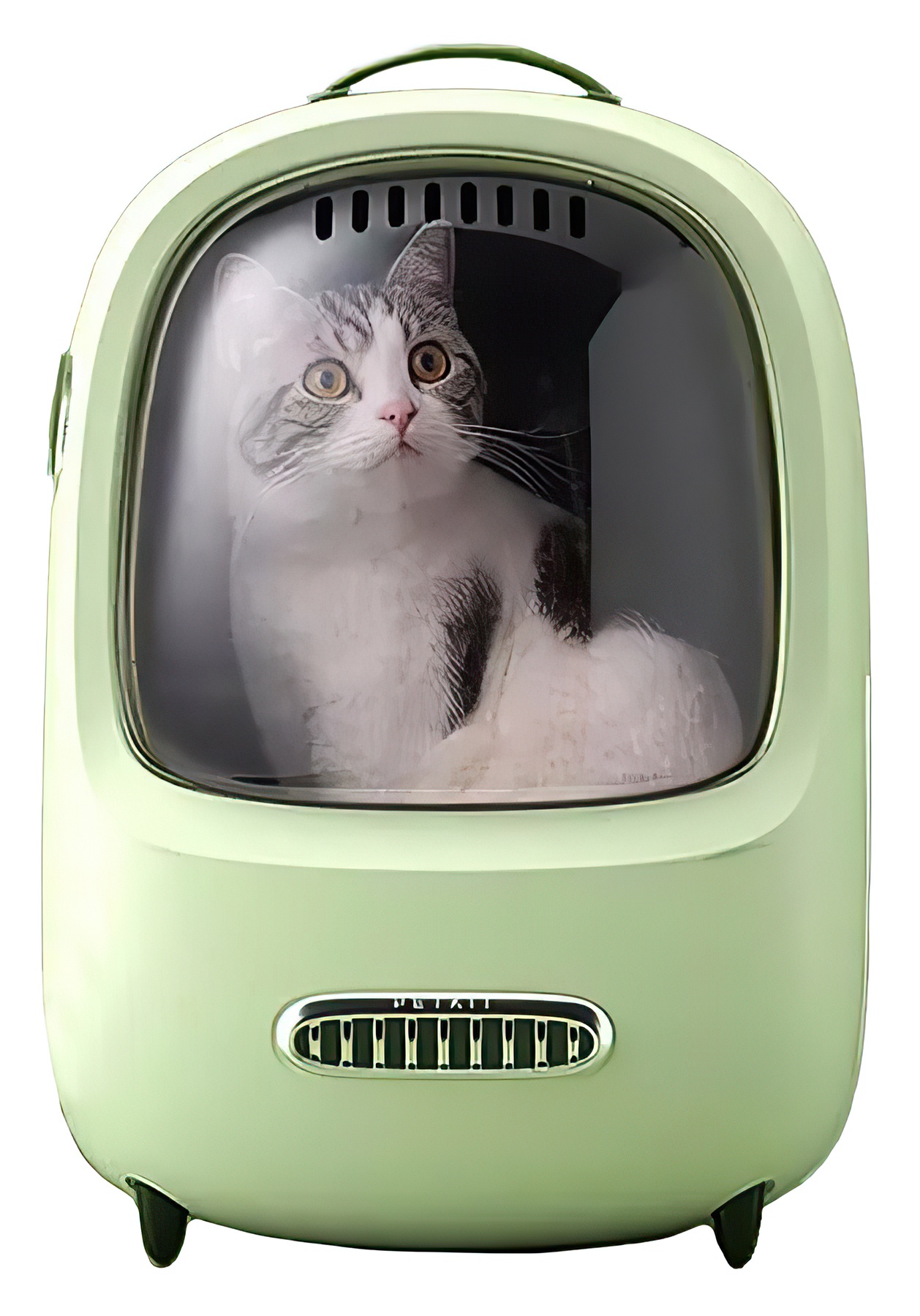 Купить Xiaomi Fresh Wind Cat Backpack Green (P7701)