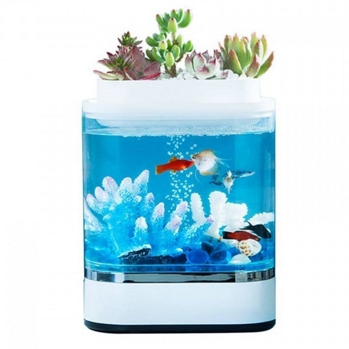 Купить Xiaomi Descriptive Geometry Mini Lazy Fish Tank (HF-JHYG 005)
