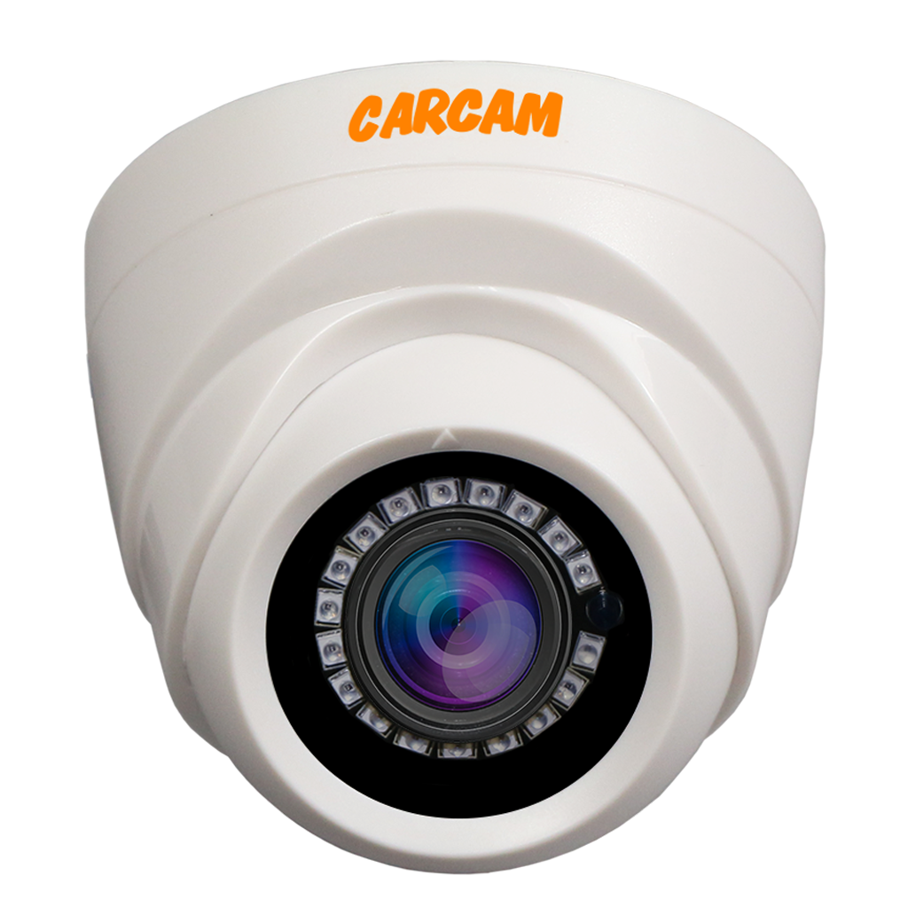 Купить Муляж CARCAM CAM-826