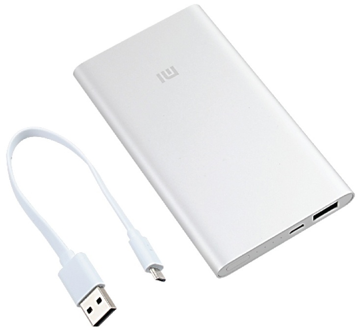 Купить Xiaomi Mi Power Bank 2 5000mAh Silver (PLM10ZM)