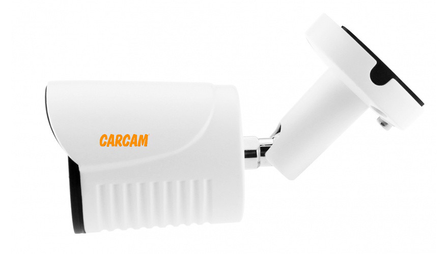 Купить Муляж CARCAM CAM-701