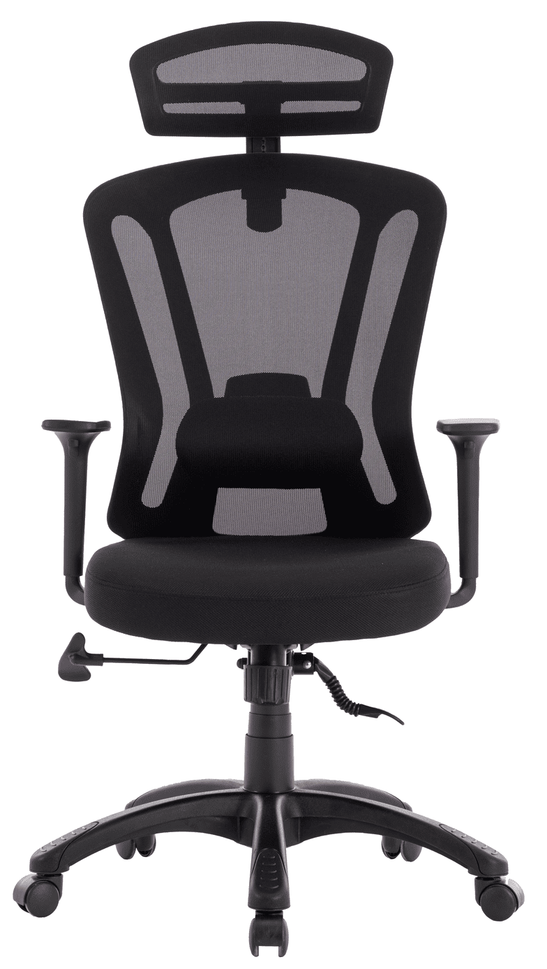 Купить Xiaomi Ergonomic Office Chair (XMGMP007) Black