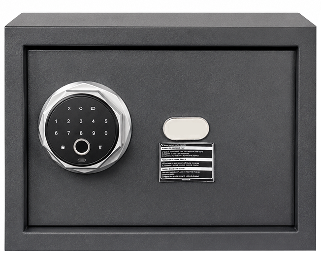 Купить CARCAM Smart Fingerprint Safe Box (CC25FEC) Black