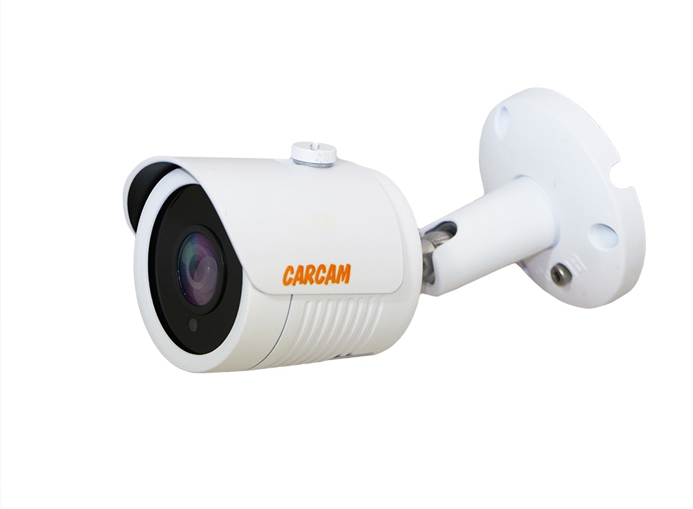 Купить Муляж CARCAM CAM-2892P