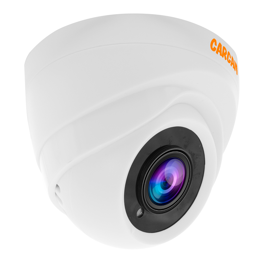 Купить Муляж CARCAM CAM-526