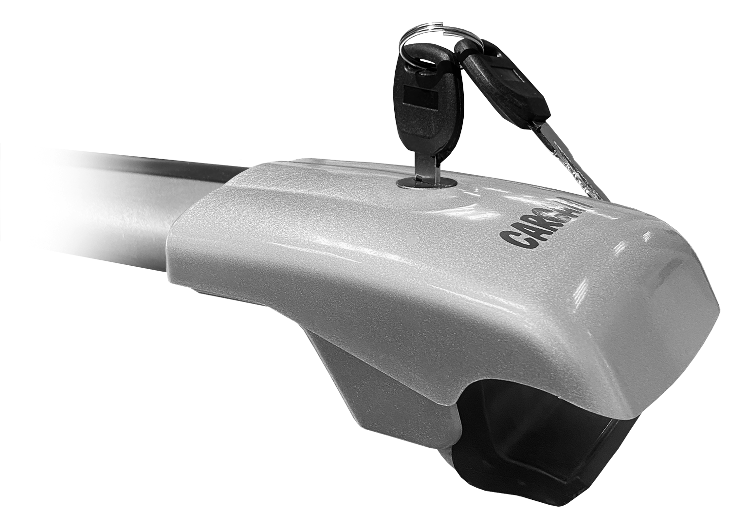 Купить CARCAM ROOF RAIL 870 мм (CC8703) Silver