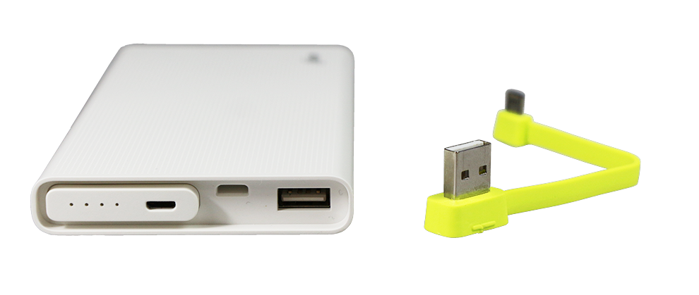 Купить CARCAM Power Bank X2