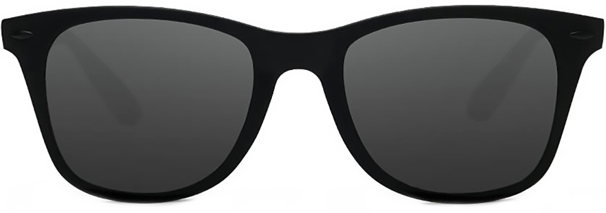 Купить Xiaomi Turok Steinhardt Hipster Traveler Black (STR004-0120)