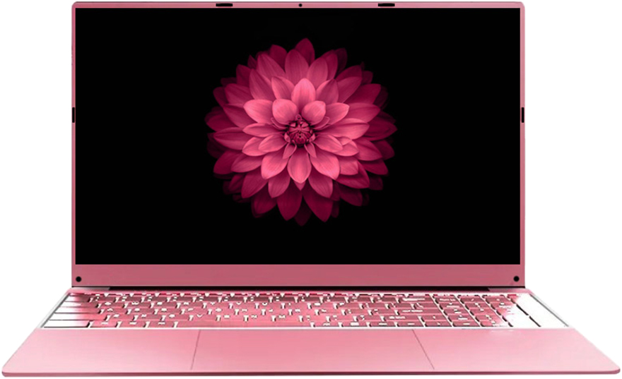 Купить 15.6" Notebook Intel N5095 2.0 GHz, RAM 16GB, SSD 512GB, Intel UHD Graphics, WiFi, Bluetooth, Pink