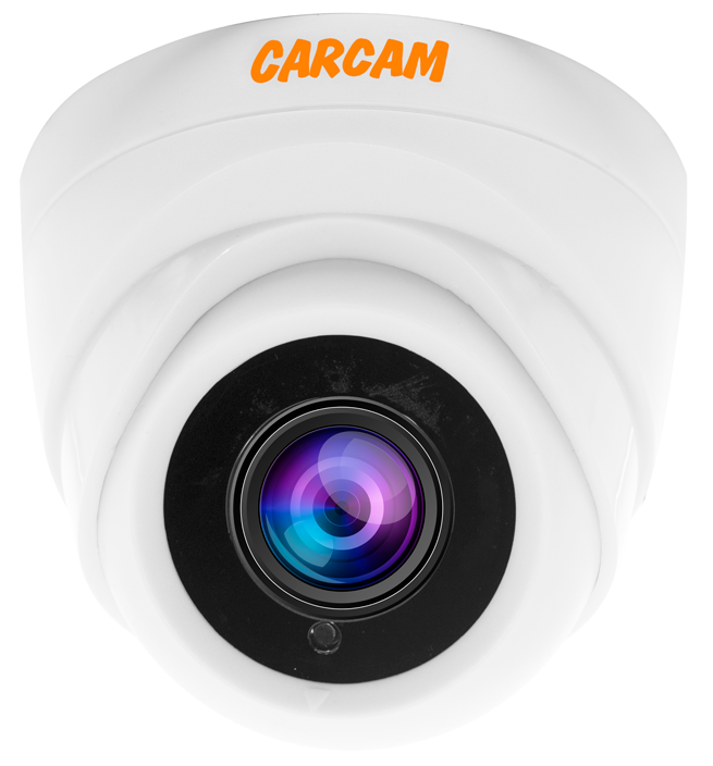 Купить Муляж CARCAM CAM-526