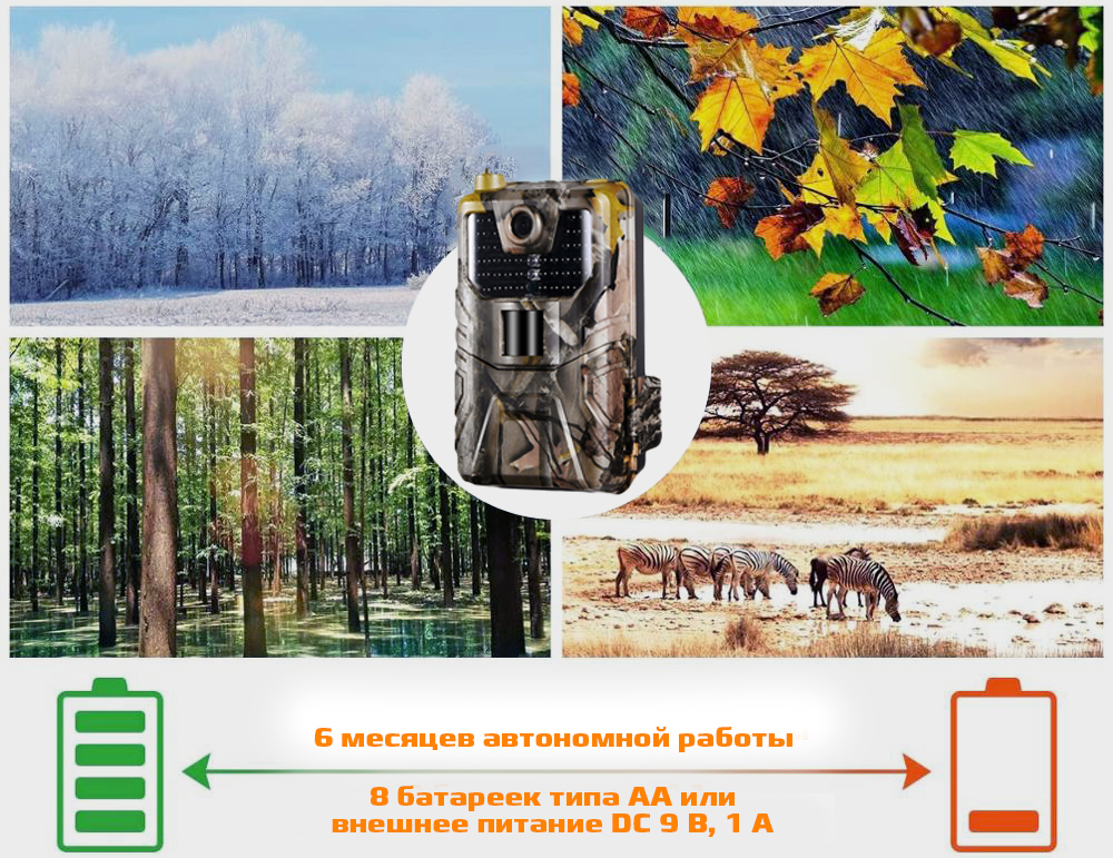 900Mavtonomnyraboty.jpg