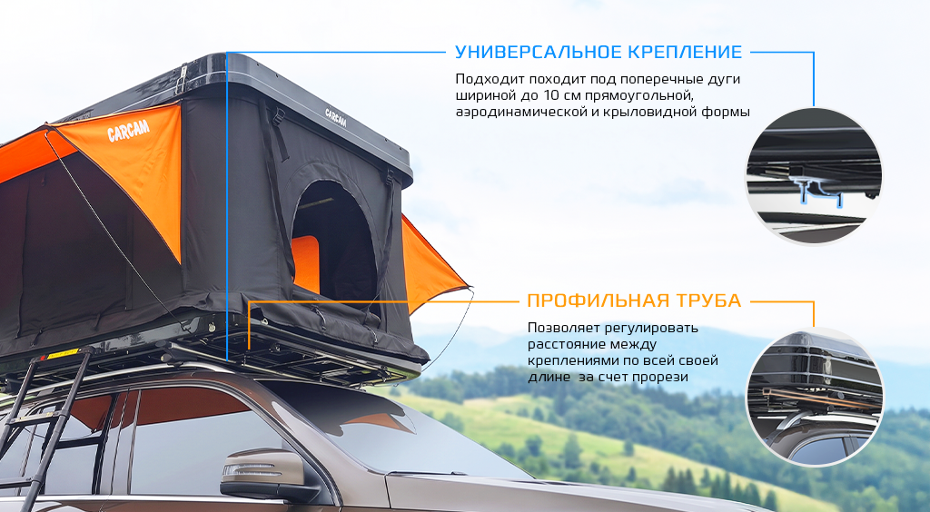 601wp-рич-2.png