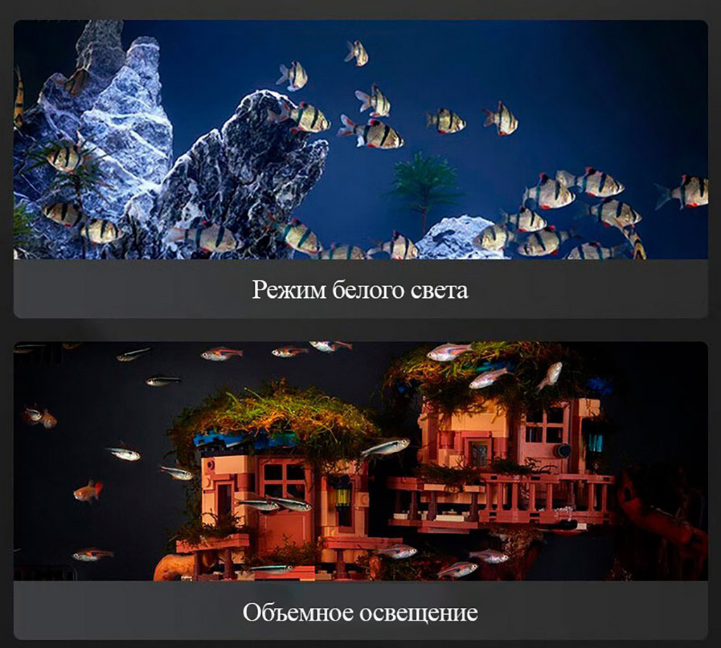 acva_4.jpg