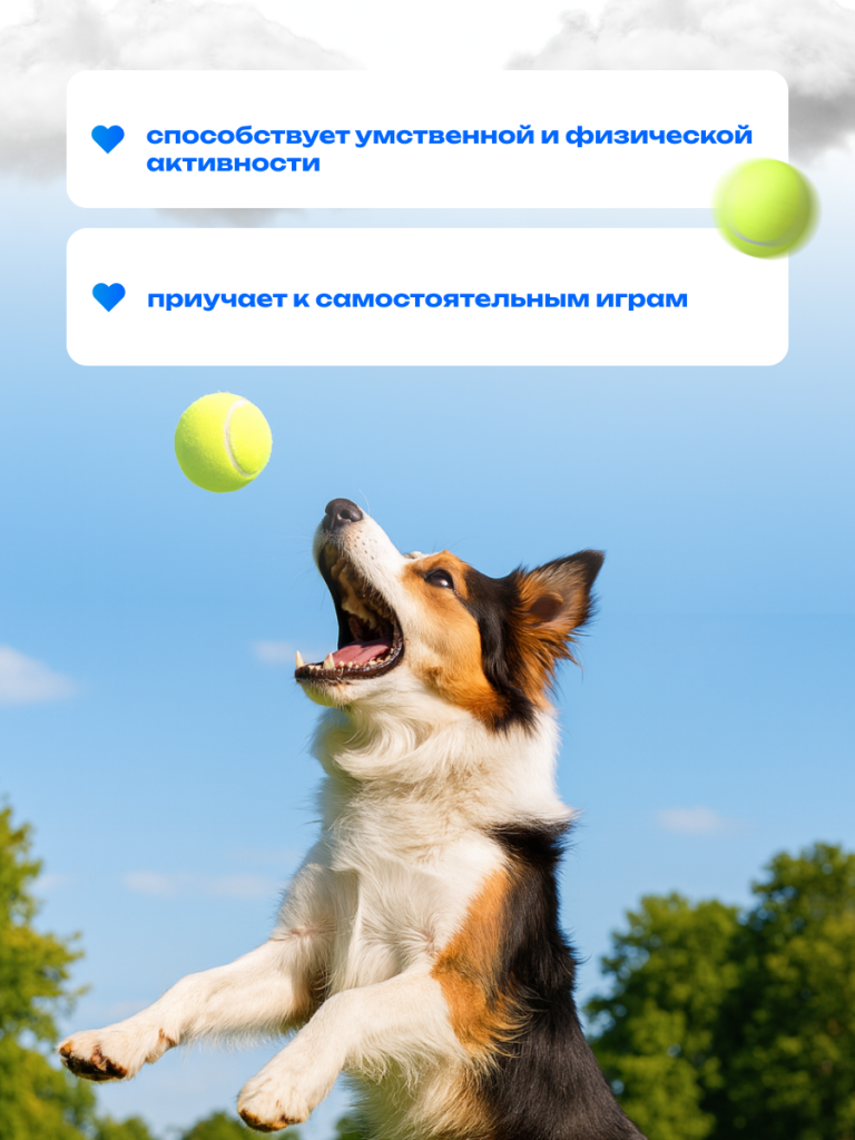 6930878779941 4.png