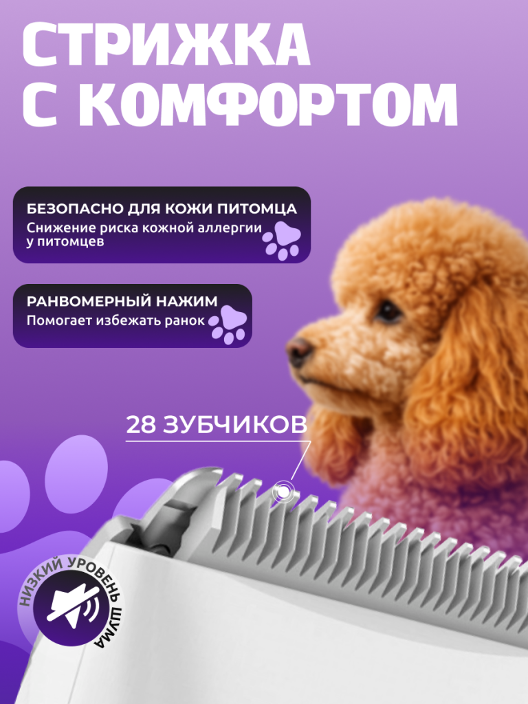 6971747870567 4.png