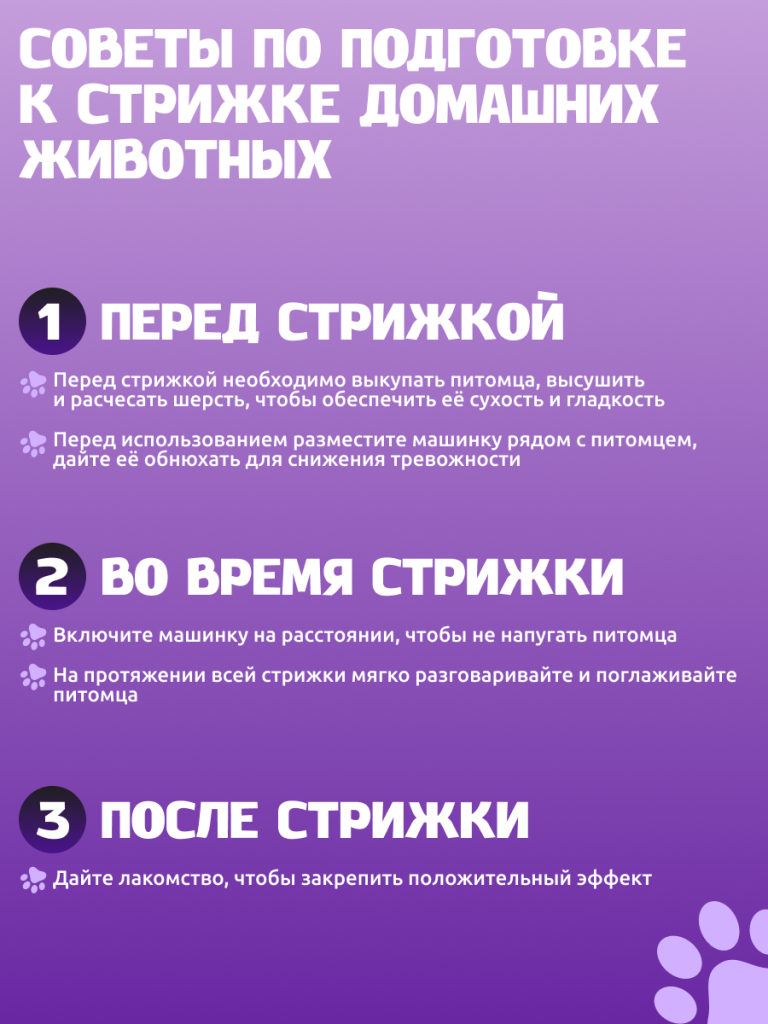 6971747870567 5.png