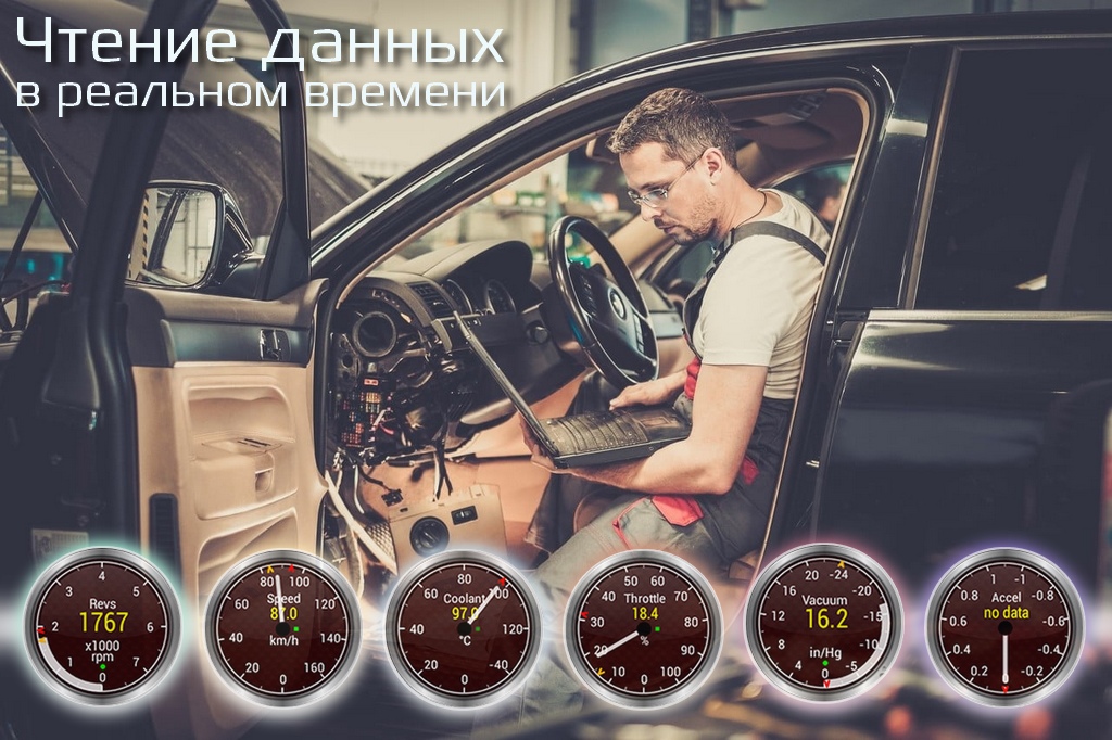 сарпо v2.jpg