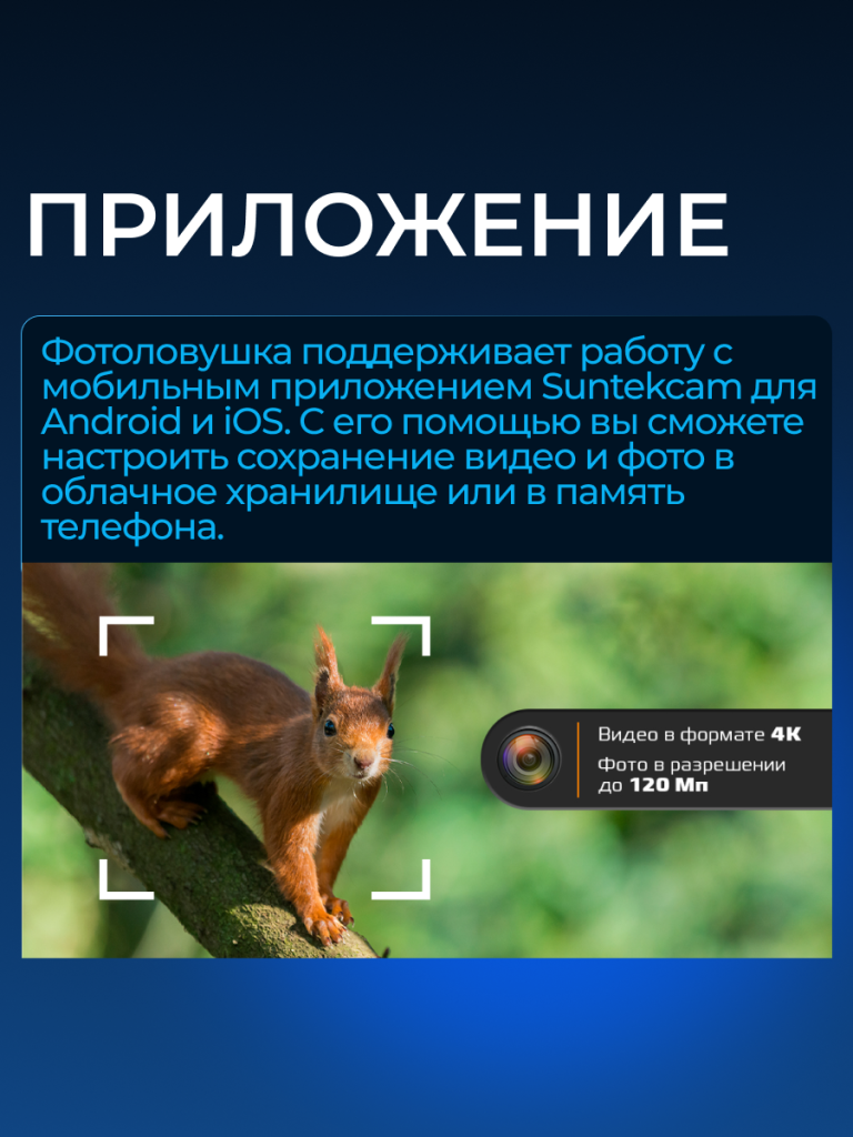 6930878783597 7.png