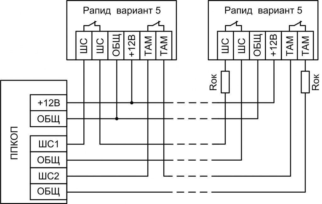 rapid_var54.jpg