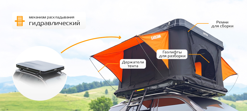 601wp-рич-3.jpg