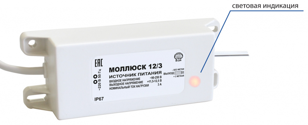mollusk-12-3-light.jpg