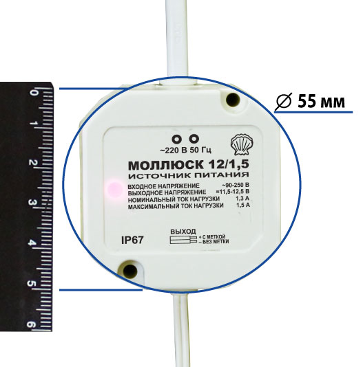 mollyusk-12-15-01.jpg