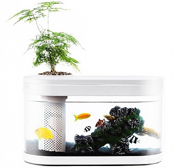 Аква-ферма Xiaomi Descriptive Geometry Amphibious Ecological View Fish Tank (HF-JHYG001)