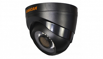 Купить Муляж CARCAM CAM-822