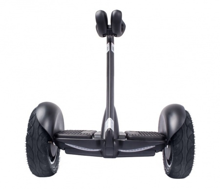 Купить Xiaomi Ninebot mini S - Black