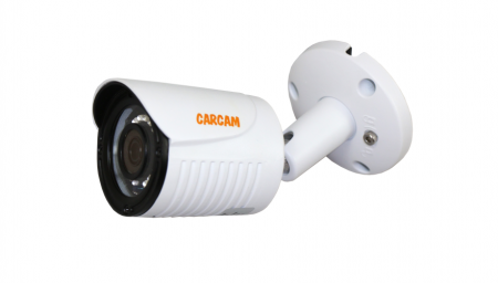 Купить Муляж CARCAM CAM-2891P