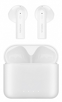 800x