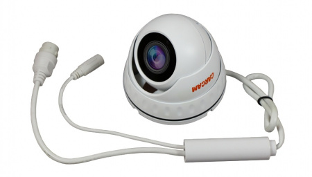 Купить CARCAM CAM-4889P